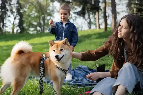 pet park